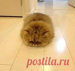 Умиление