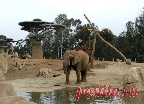 Мила не видела себе подобных почти 30 лет. Такая трогательная и искренняя реакция / vicer.ru / Surfingbird.ru