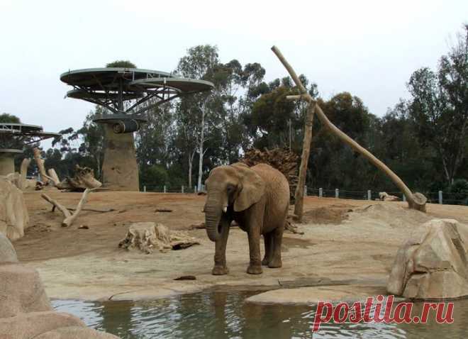 Мила не видела себе подобных почти 30 лет. Такая трогательная и искренняя реакция / vicer.ru / Surfingbird.ru