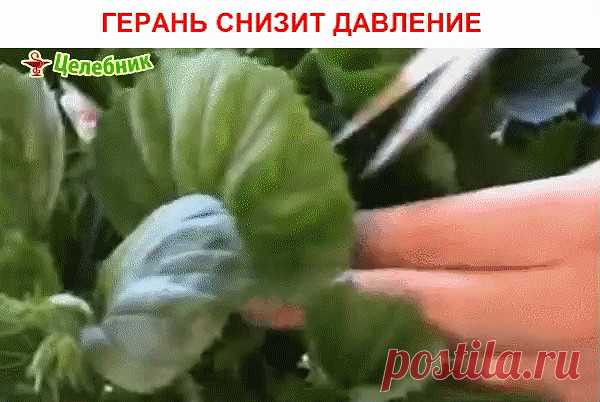 1 непрочитанный чат