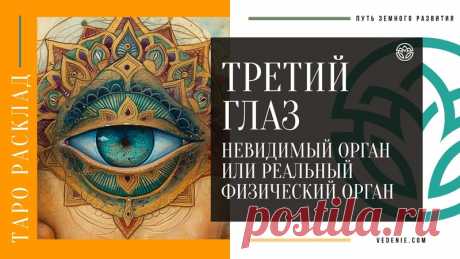 ТРЕТИЙ ГЛАЗ. Невидимый орган или реальный Физический орган
https://youtu.be/qze6Iyluv5Y
Распространяйте репостами
#третийглаз #шишковиднаяжелеза #сокрытыезнания #невидимыйорган #таро