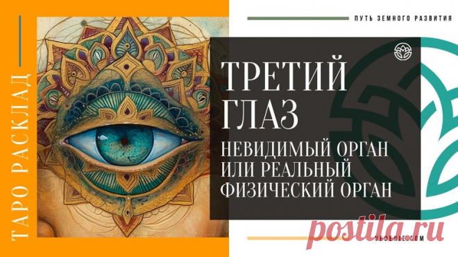 ТРЕТИЙ ГЛАЗ. Невидимый орган или реальный Физический орган
https://youtu.be/qze6Iyluv5Y
Распространяйте репостами
#третийглаз #шишковиднаяжелеза #сокрытыезнания #невидимыйорган #таро