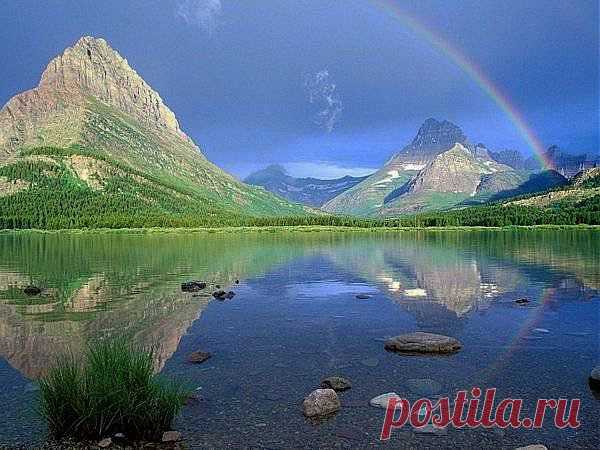 Любопытные факты о природе