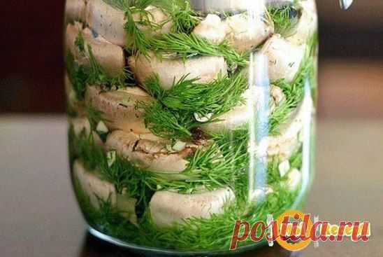 Малосольные ШАМПИНЬОНЫ на скорую руку - мировой рецептик!
Рецепт просто сногсшибательный!!! все наши гости говорят, что магазинные маринованные шампиньоны сидят и нервно курят в углу!
Хотите порадовать и удивить гостей чем-то необычным и вкусным! Вы готовили малосольные шампиньоны? Нет?!
Подробный рецепт читайте в группе http://ok.ru/zagotovka