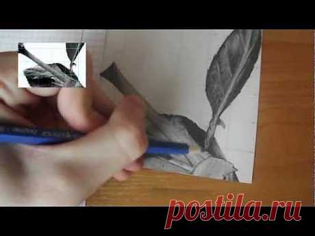 &quot;Рисование карандашом&quot; / Урок 3.2 (Наносим тон и тени) - YouTube