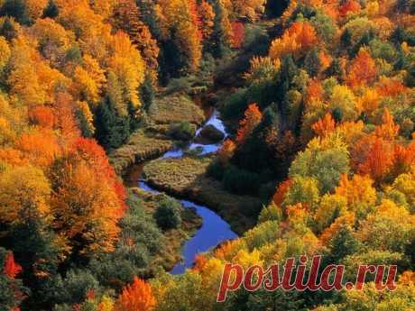 Цвета осени ...