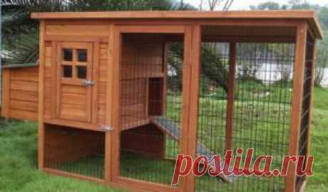 Как построить курятник? | Миллион ответов на любой вопрос