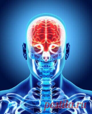 6 продуктов для очищения сосудов головного мозга По каким признакам и состояниям организма можно судить о 