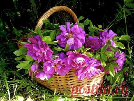 Счастье ... это засыпать с улыбкой
на губах и просыпаться с любовью в сердце.