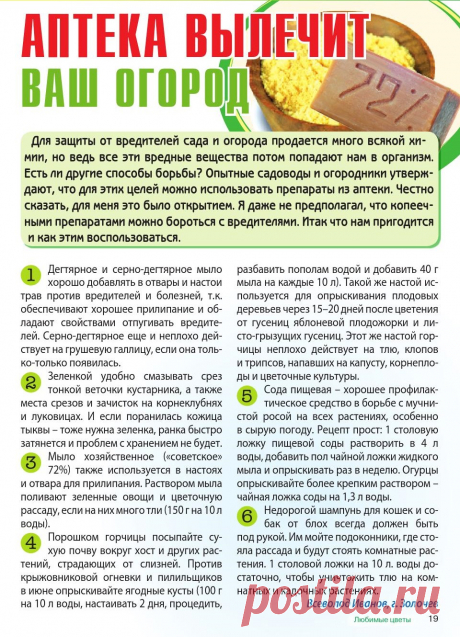 Аптека вылечит ваш огород
