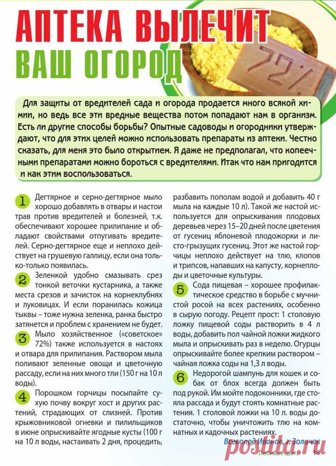 Аптека вылечит ваш огород