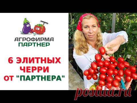 6 ЭЛИТНЫХ ЧЕРРИ ОТ 