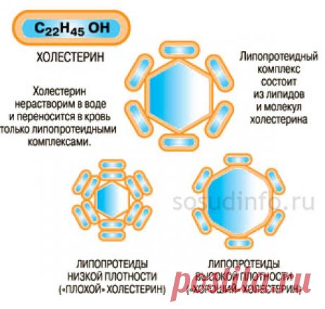 Холестерин: норма в крови, уровень повышен, как снизить
