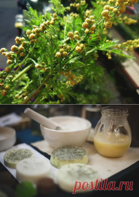 Наше здоровье Будьте здоровы вместе с нами