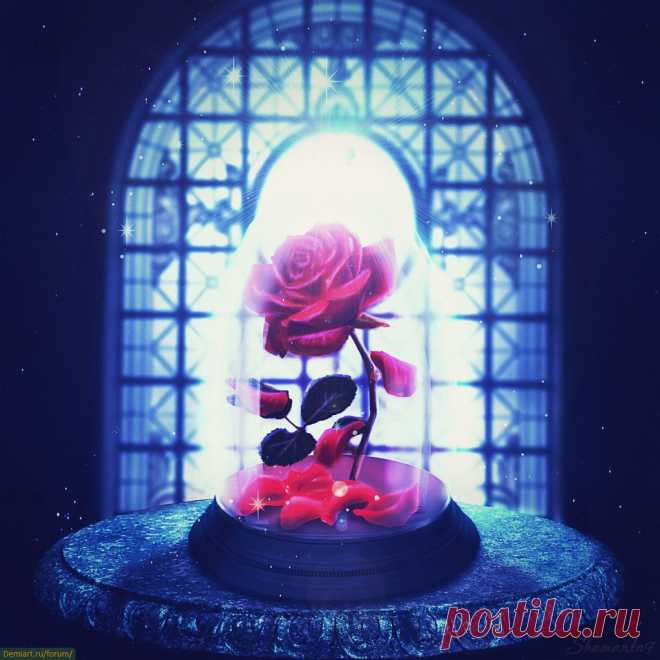 Создаем коллаж «Заколдованная роза» - Demiart Photoshop