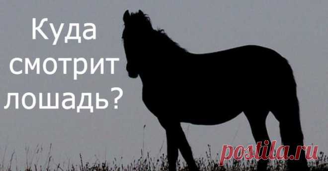 Загадка, которая сломает вам мозг, как вы считаете, в какую сторону смотрит эта темная лошадка Эта загадка озадачила множество пользователей сети. А вы как думаете, в какую сторону смотрит лошадка? Не спешите с ответом. Всё что вам нужно, это взглянуть на картинку и определить, в какую именно с...