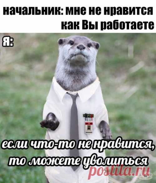 Свежие и прикольные демотиваторы (17 шт)