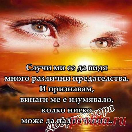 Nadya Mitkova - Pal.bg