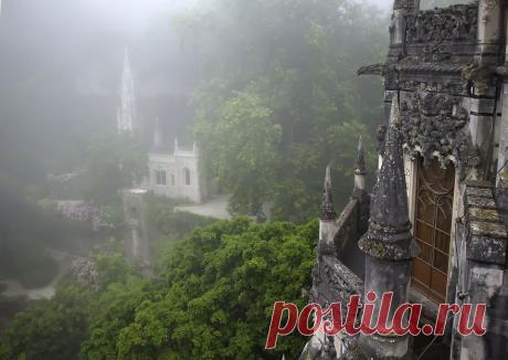 Фотографии выглядят буквально мистически… от Тейлора Мура (Taylor Moore) — Фотоискусство