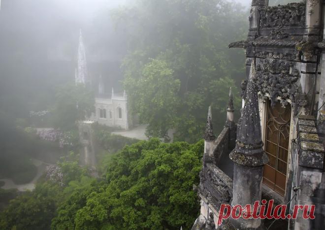 Фотографии выглядят буквально мистически… от Тейлора Мура (Taylor Moore) — Фотоискусство