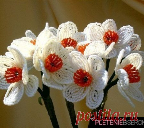 Нарцисс из бисера для начинающих: схема и мастер-класс