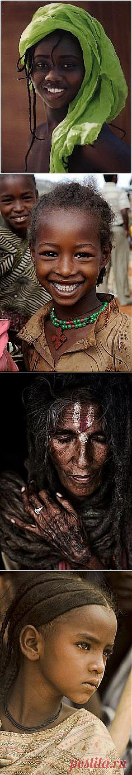 beauty in green | Windows to the Soul