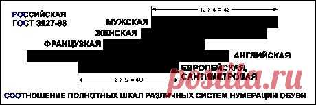 Соотношение размеров одежды и обуви - ozpp.ru