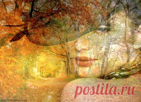 Коллажи | Путешествие в страну Фантазия