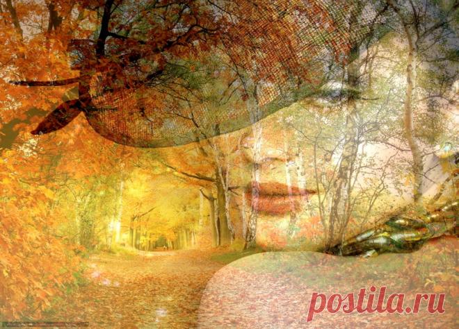 Коллажи | Путешествие в страну Фантазия