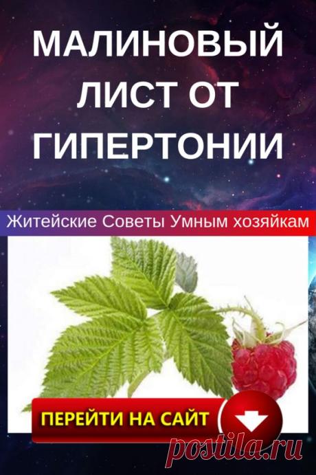 И оно действительно помогает!
Этот способ использовала еще моя бабушка, тогда она не знала о чудесных свойствах листьев малины.