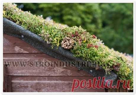 зеленые (травяные) скандинавские крыши