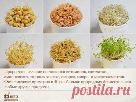 Пророщенные семена
