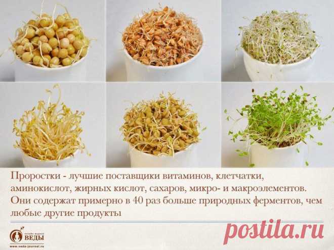 Пророщенные семена