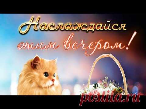 Добрый Вечер ! Желаю вам Красивого и Уютного Вечера в кругу Друзей и Близких !!!