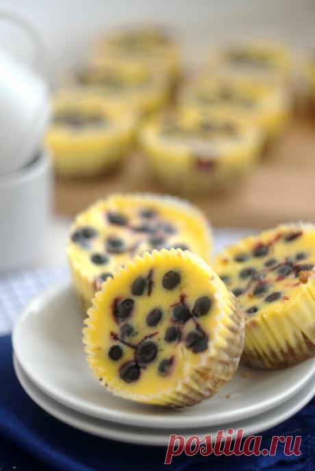 Лимонные мини-чизкейки с черникой - something sweet to a cup of coffee — ЖЖ