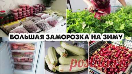 СЕЗОННАЯ ЗАМОРОЗКА НА ЗИМУ❄️ЯГОДЫ, ОВОЩИ, ЗЕЛЕНЬ🍒ЗАГОТОВКИ НА ЗИМУ🌿ЗАГОТОВКИ В МОРОЗИЛКУ | Мама Может | Дзен