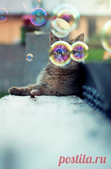 Bubbles - Imgur