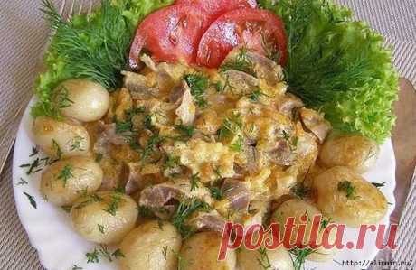 7 рецептов приготовления вкуснейших куриных желудков