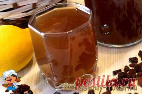 Квас из цикория в домашних условиях рецепт с сухими дрожжами