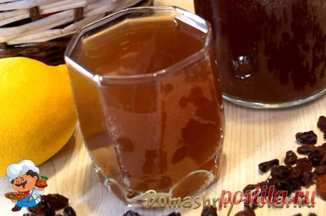 Квас из цикория в домашних условиях рецепт с сухими дрожжами