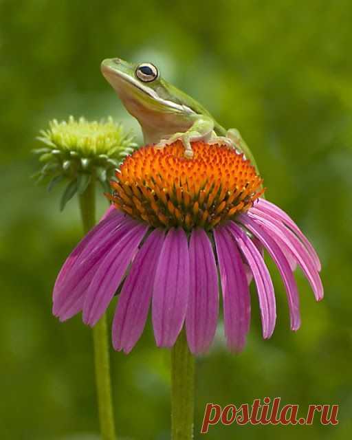 Photography Around World: Beautiful Robertson Photo, World Award Winning
