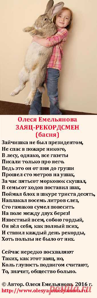 Олеся Емельянова. Заяц-рекордсмен. Басня про известность, полученную за счет неадекватного и глупого поведения и эпатажа.