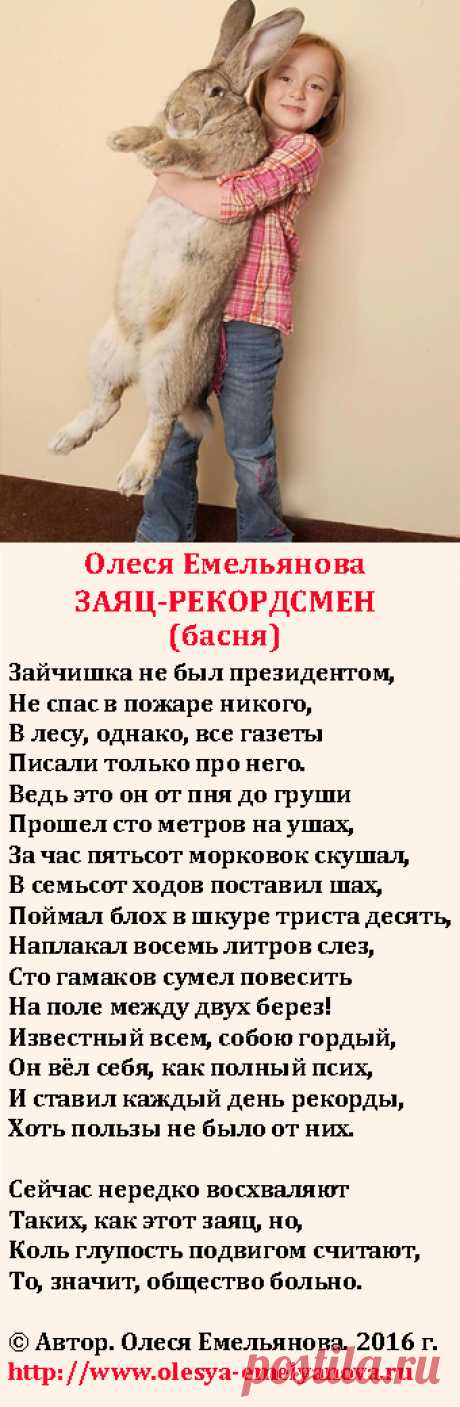 Олеся Емельянова. Заяц-рекордсмен. Басня про известность, полученную за счет неадекватного и глупого поведения и эпатажа.