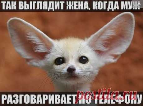 Пятница, 9 октября в 14:00 мск
Приглашаем Вас на бесплатный онлайн-вебинар:
Как ежемесячно зарабатывать в Интернет 45 000 рублей
на продаже популярных сервисов и тренингов!Как же сделать так, чтоб поток денег из Интернета повернулся в Вашу
сторону и наполнил Ваши карманы?
Как качественно изменить Ваш образ жизни?
Как сделать так, чтоб ездить в отпуск в жаркие страны тогда, когда захочется
и туда, куда нравится, а не куда позволяет Ваш карман???