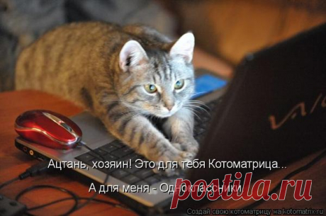 ХОРОШЕГО НАСТРОЕНИЯ))
