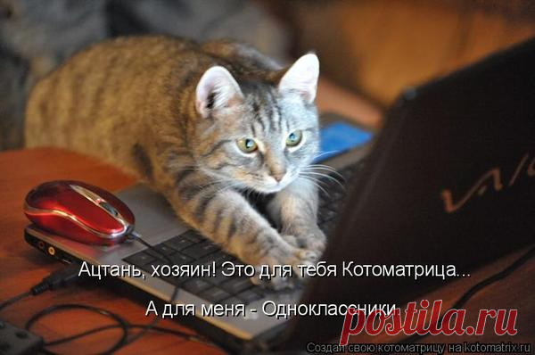 ХОРОШЕГО НАСТРОЕНИЯ))