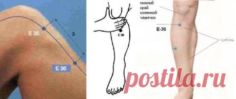 Точка долголетия и как на нее воздействовать / Все для женщины