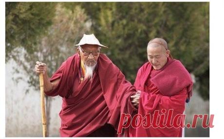 Учитель, как мне научиться прощать?
- Что толку в излечении симптомов? Учись не обижаться.