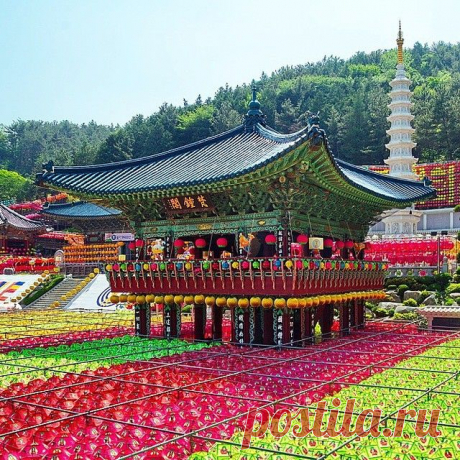 Украшения перед храмом Самгванса #Samgwangsa #삼광사.

Про храм и школу буддизма Чхонтхэ #천태종 написала в блоге. Ссылка кликабельна в профиле прям в пост ☝

#Пусан #Busan #부산 #Корея #Korea #SouthKorea #한국 #ig_korea #ig_busan #ig_asia_ #впусане #koreatrip #koreatrip2015 #travelKorea #моипубликации #буддизм #деньрождениябудды #buddhism #불교