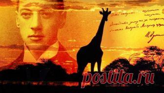 Сегодня, я вижу, особенно грустен твой взгляд
И руки особенно тонки, колени обняв.
Послушай: далёко, далёко, на озере Чад
Изысканный бродит жираф.

Ему грациозная стройность и нега дана,
И шкуру его украшает волшебный узор,
С которым равняться осмелится только луна,
Дробясь и качаясь на влаге широких озер.

Вдали он подобен цветным парусам корабля,
И бег его плавен, как радостный птичий полет.
Я знаю, что много чудесного видит земля,
Когда на закате он прячется в мраморный...